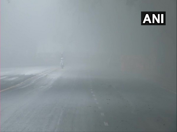 Visuals from Krishna Menon Marg