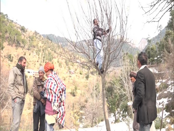 Visuals from J-K's Udhampur (Photo/ANI)