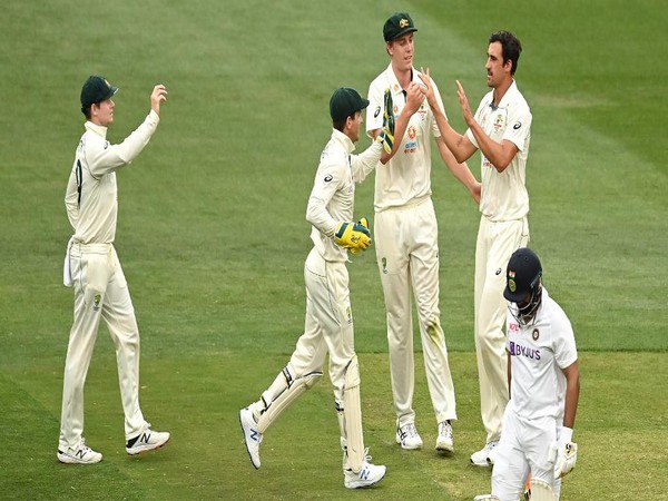 Australia lost the second Test at the MCG (Photo: ICC twitter)