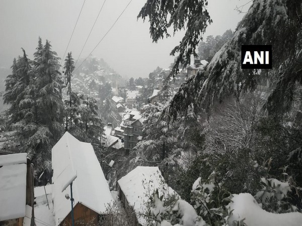 Visuals from Jakhoo area of Shimla (Photo/ANI)