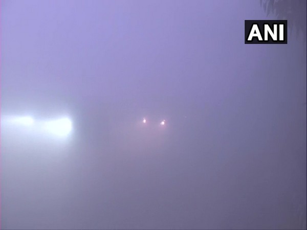 Visuals from Rajghat [Photo/ANI]