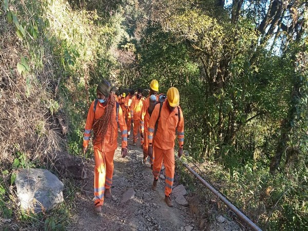 Seven NDRF teams been deployed for fire fighting mission at Dzuko valley.