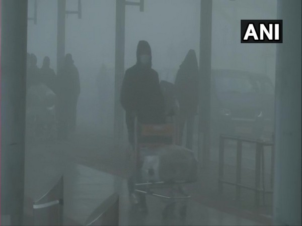 Visuals from Delhi Airport (Photo/ANI)