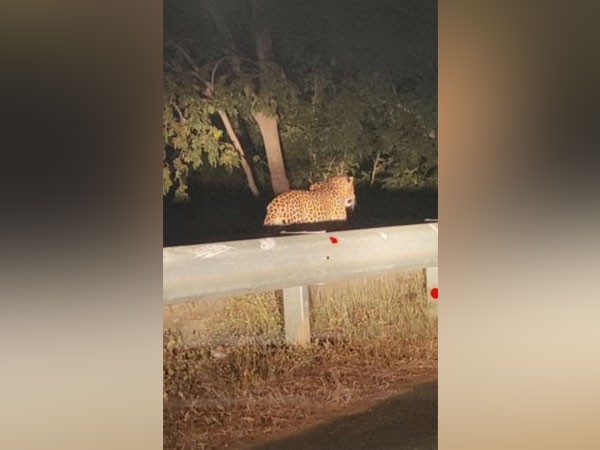 Visuals from the National Highway