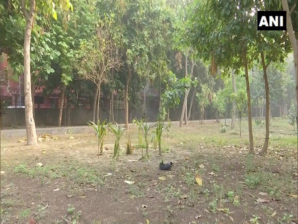 A dead crow in the Mayur Vihar Park. (Photo/ANI)