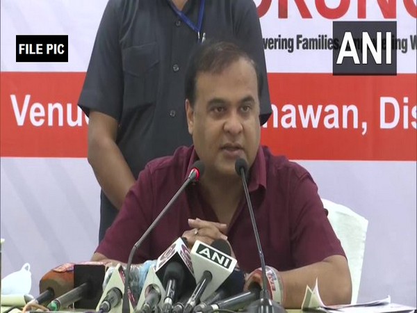 Assam Health Minister Himanta Biswa Sarma. (File Photo)