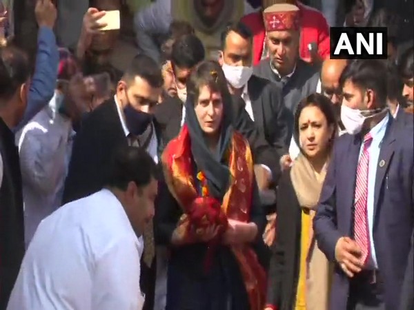 Priyanka Gandhi Vadra at Shakumbhari Devi Temple in Sharanpur (Photo/ANI)