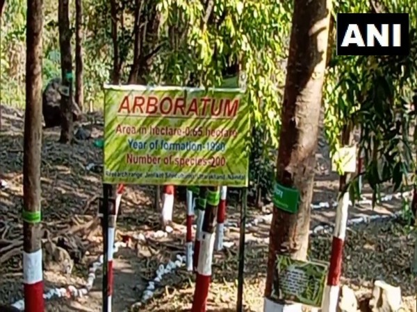 Visuals from the Arboratum. (Photo/ANI)