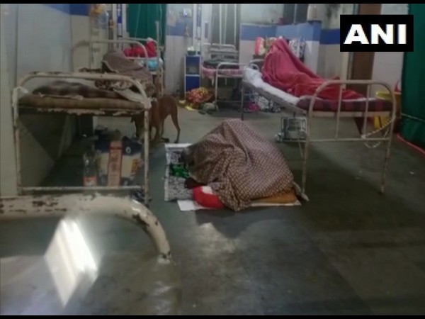 A video of stray dogs inside patient ward at GMCH, Nagpur has gone viral. [Photo/ANI]
