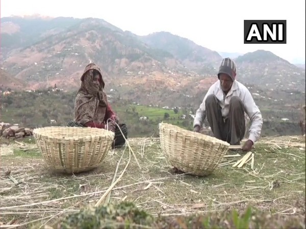 Bamboo weaving main source of livelihood in J&K's Ghordi Khas East village. [Photo/ANI]