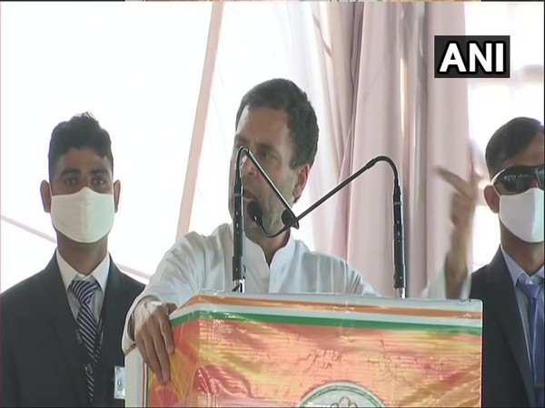 Congress leader Rahul Gandhi (photo/ANI)