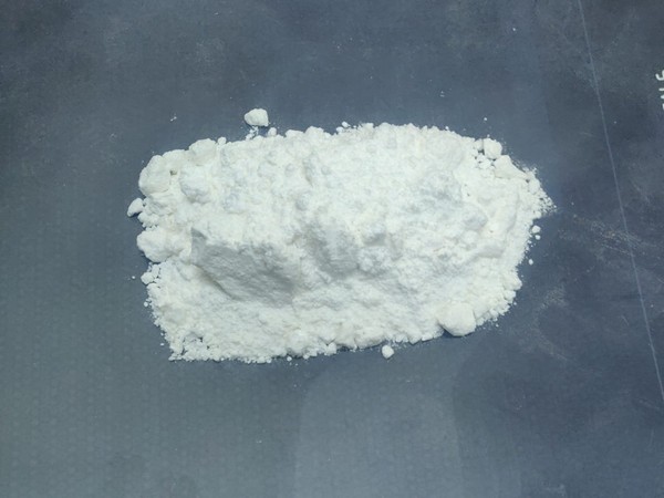 Central Crime Branch seized cocaine and ecstasy worth Rs 15 lakhs