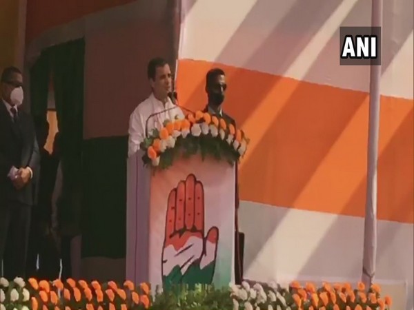 Congress leader Rahul Gandhi addressing a rally in Sivasagar, Assam on Sunday. (Photo/ANI)
