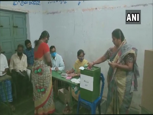 People are seen casting votes for gram panchayat polls in Andhra Pradesh. (Photo/ANI)