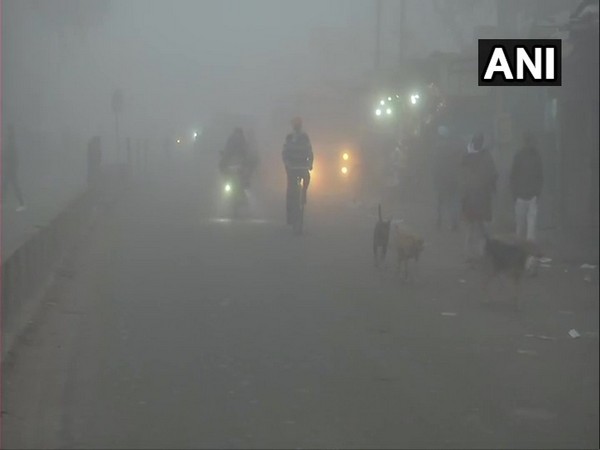 Punjab's Batala city woke up to dense fog on Wednesday (Photo/ANI)
