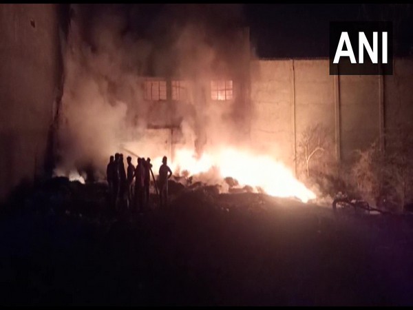 Visual of fire in a furniture factory in Navsari (Photo/ANI)
