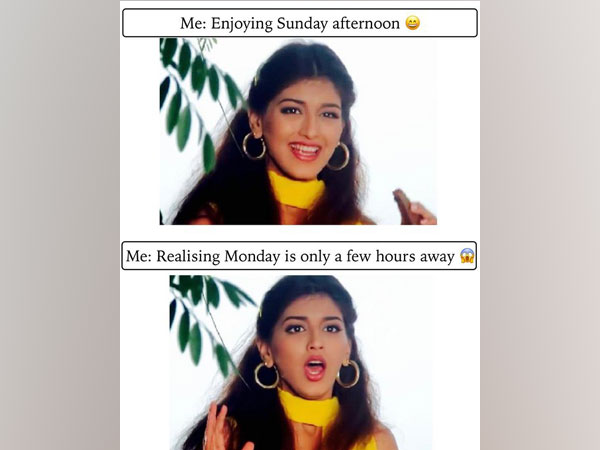 Meme shared by Sonali Bendre (Image courtesy: Twitter)