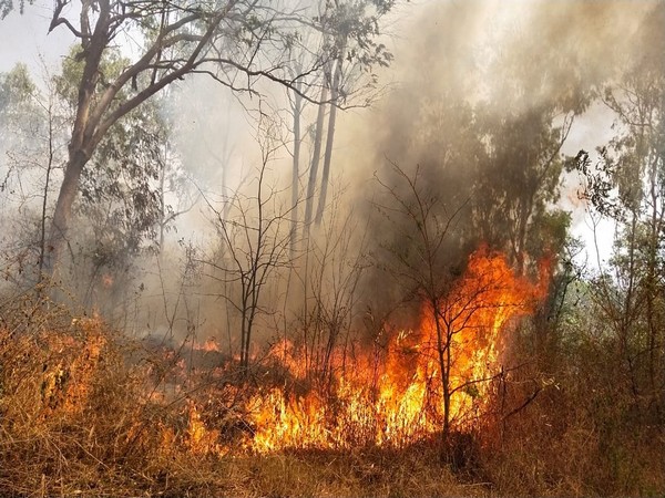 Visual from the site (Photo/ANI)