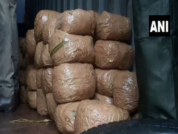 500 kgs of ganja was seized near Attingal in Thiruvananthapuram on Sunday. (Photo/ANI)