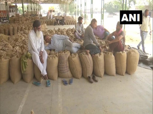 Farmers and commission agents protesting at farmers' markets in Amritsar. (Photo/ANI)