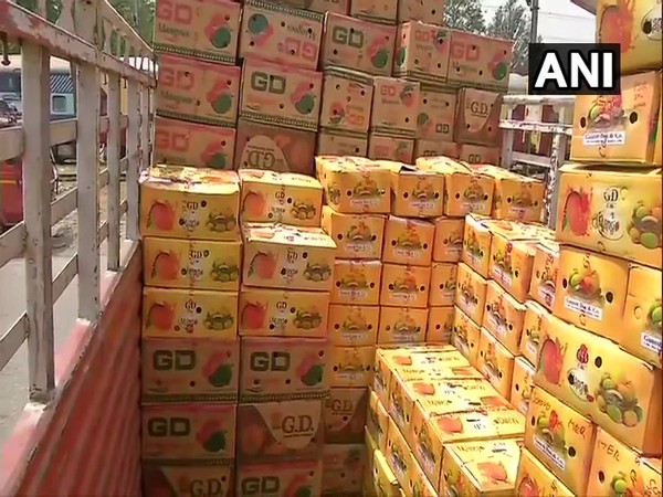 Boxes of mangoes brought to Delhi from Vizianagaram. (Photo/ANI)