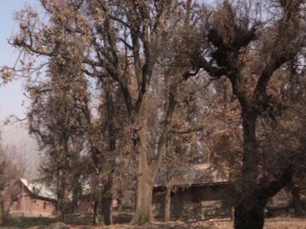 The park was upgraded and declared a National Park in 1951.