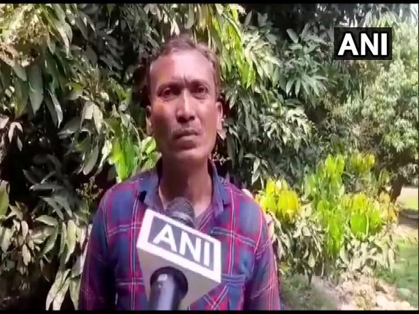 A litchi farmer in Bihar's Muzaffarpur (Photo/ANI)