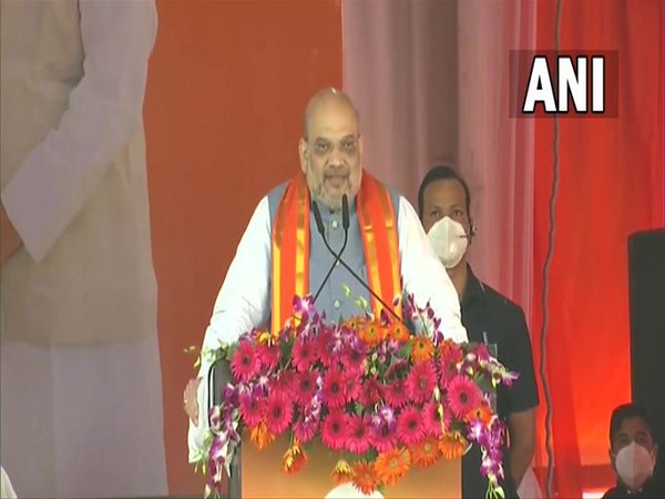Union Home Minister Amit Shah (Photo/ANI)