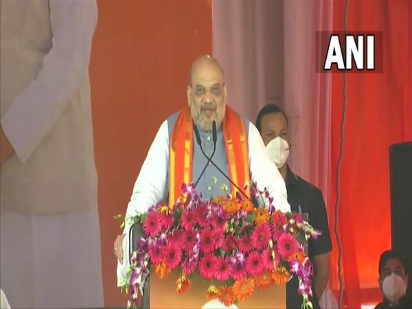 Union Home Minister Amit Shah (Photo/ANI)