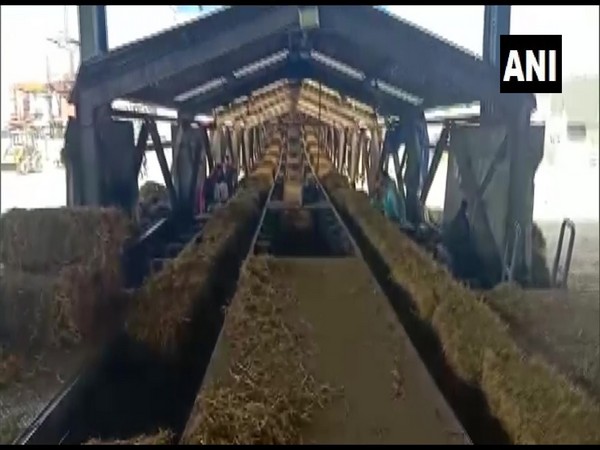 Biomass power plant generating electricity using paddy stubble in Ferozpur, Punjab. (Photo/ANI)