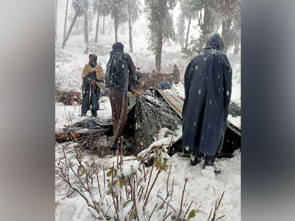  Budgam Police rescues nomadic family stuck in snowstorm. (picture courtesy: Bdgam police/Twitter)