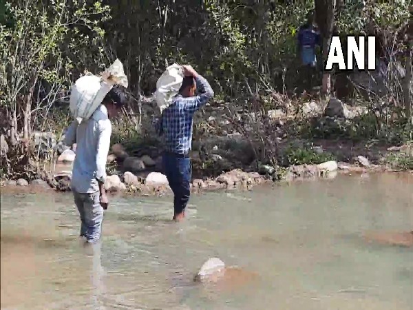 Teachers carrying mid-day meal rations on their shoulders in Balrampur district of Chhattisgarh. (Photo/ANI)