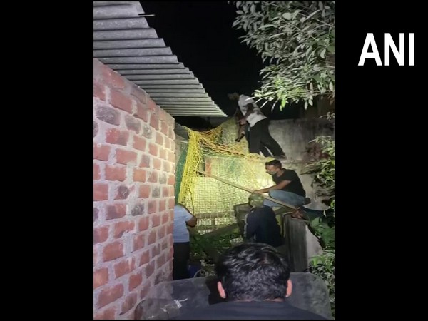 Team of forest department rescuing the leopard (Photo/ANI)