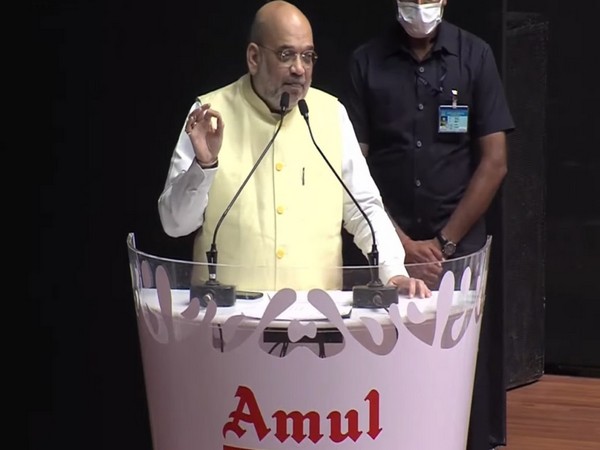 Union Home Minister Amit Shah (Photo/ ANI)