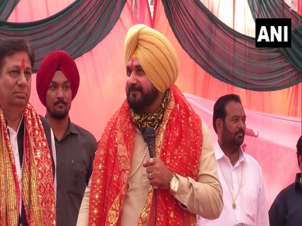 Punjab Congress chief Navjot Singh Sidhu (Photo/ANI)