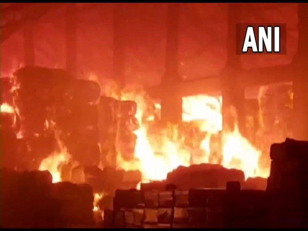 Visuals of fire from Vapi (Photo/ANI)