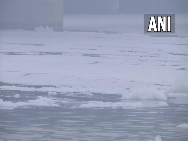A thick layer of toxic foam continues to float on surface of Yamuna river in Delhi. (Photo/ANI)