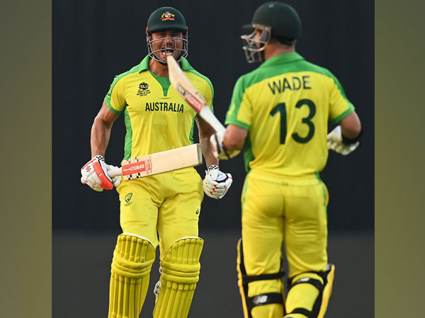 Marcus Stoinis and Matthew Wade (Image: Cricket Australia's Twitter)