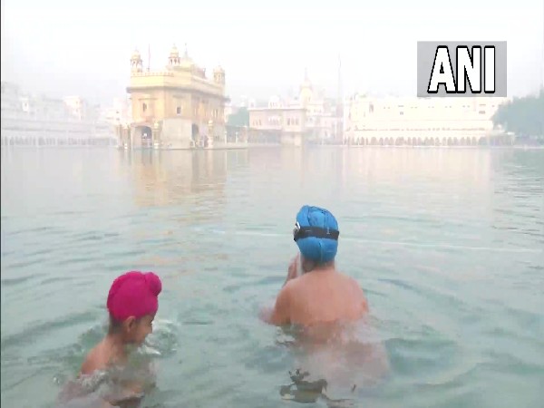 Devotees take holy dip in 'Sarovar' at Golden Temple on Guru Nanak Jayanti (Photo/ANI) 