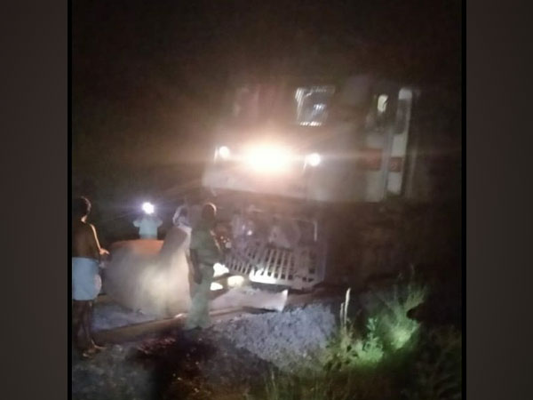 Female elephants including two calves succumb to injuries