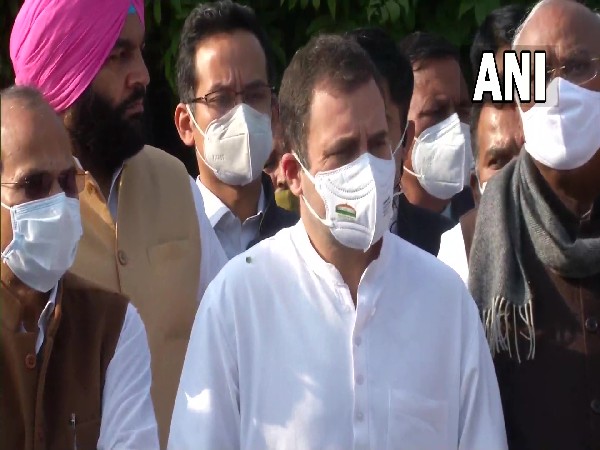 Congress leader Rahul Gandhi (Photo/ANI)