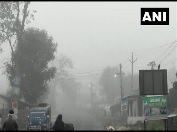 Cold wave in Andhra Pradesh (Photo/ANI)