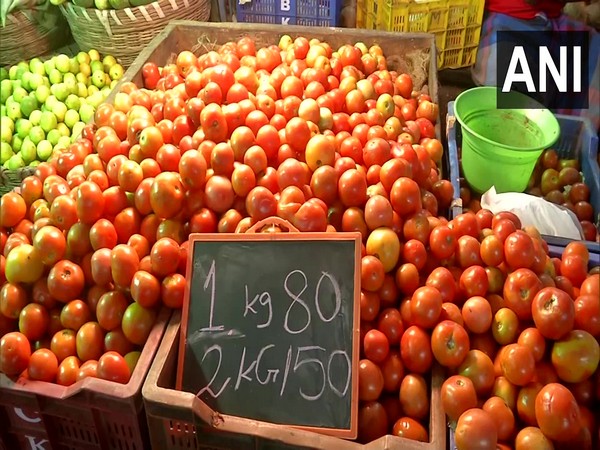 Tomato prices in southern states soar due to rains. (Photo/ANI)