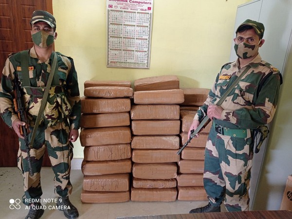 BSF, DRI seize 360 Kgs ganja in joint operation (Picture courtesy: @BSF_MizoramCach) 