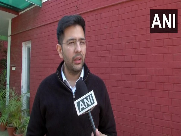 AAP leader Raghav Chadha (Photo/ANI)