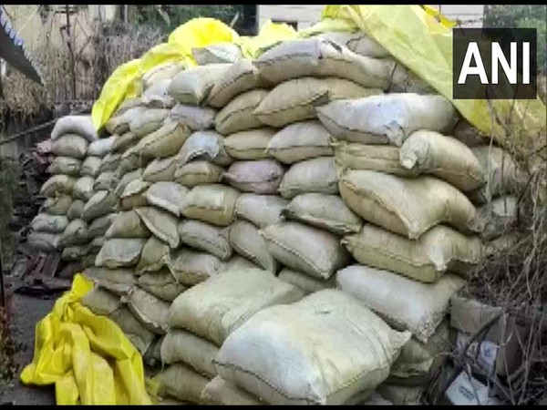 Sacks filled with cannabis at a godown in Indore (Photo/ANI)