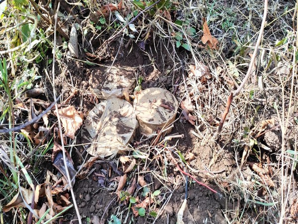 Three tiffin IEDs recovered by BSF 