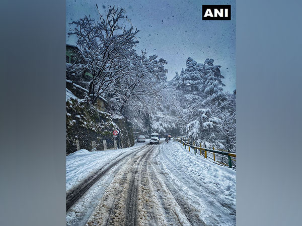Snowfall in Shimla (Photo/ANI)
