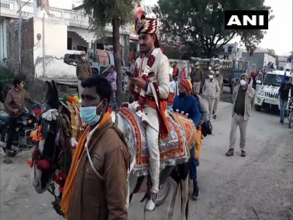 'Operation Samanta' aims to prevent incidents of Dalit grooms being not allowed to take out marriage procession on horses. (Photos/ANI)