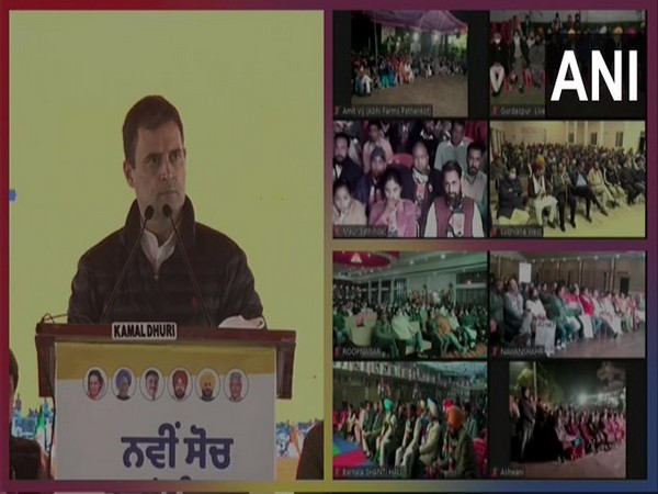 Congress leader Rahul Gandhi in Punjab (Photo/ANI)